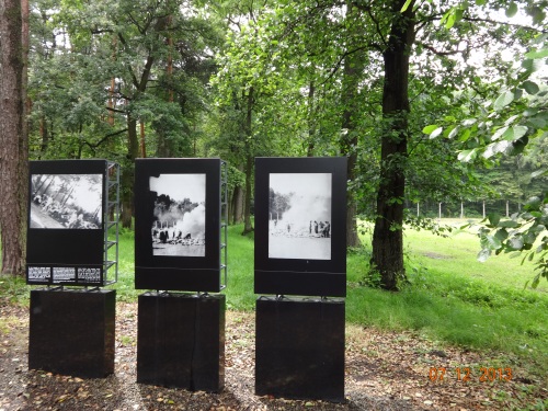 The secret sonderKommando photos. Where the bodies were burned in open air.